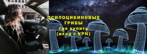ECSTASY Алексеевка